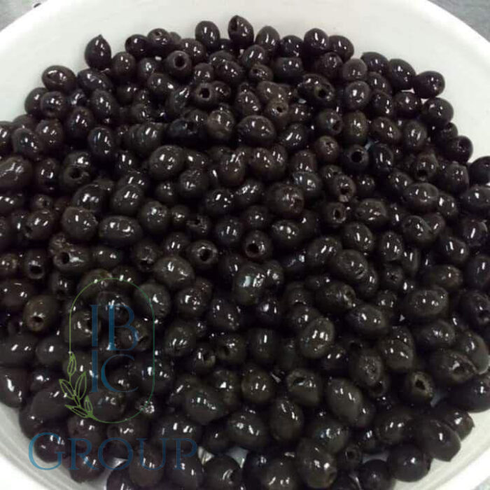 WhatsApp-Image-2024-11-17-at-16.36.41_4f09eece-copy-700x700