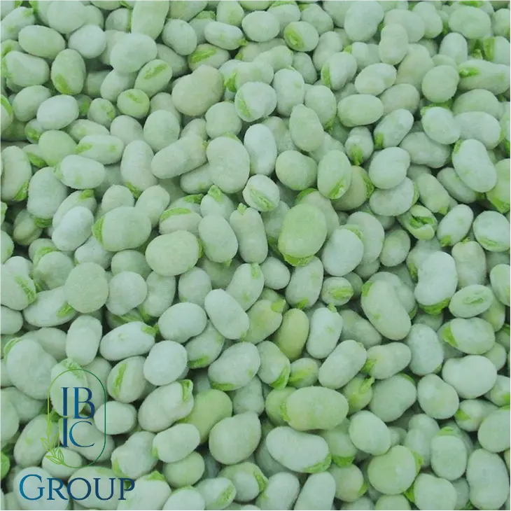frozen-iqf-broad-beans9d874(1)